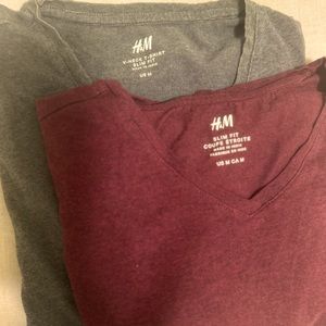 Set of 2 men’s v neck slim fit tees